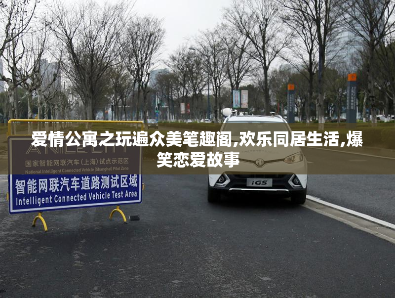 爱情公寓之玩遍众美笔趣阁,欢乐同居生活,爆笑恋爱故事