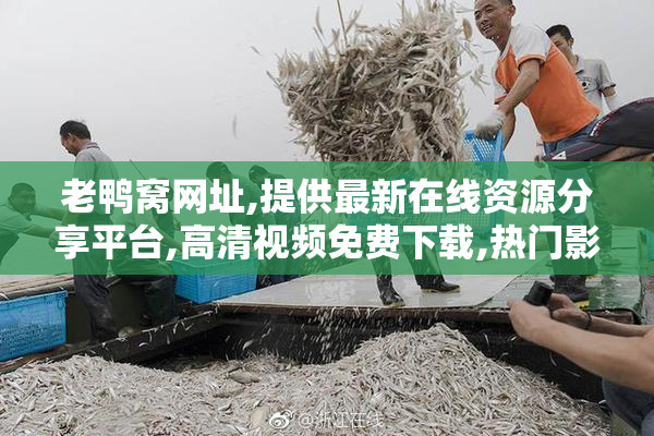 老鸭窝网址,提供最新在线资源分享平台,高清视频免费下载,热门影视