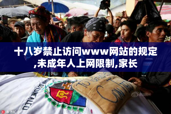 十八岁禁止访问www网站的规定,未成年人上网限制,家长