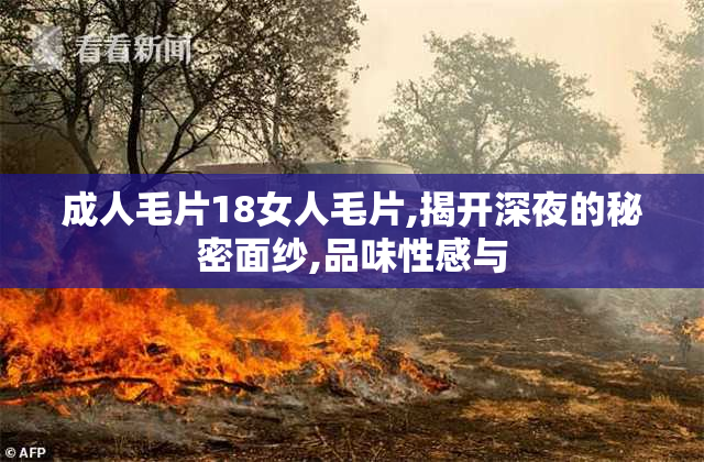 成人毛片18女人毛片,揭开深夜的秘密面纱,品味性感与