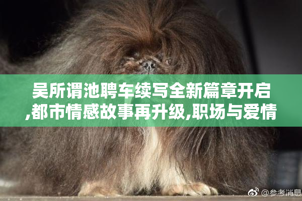 吴所谓池聘车续写全新篇章开启,都市情感故事再升级,职场与爱情的