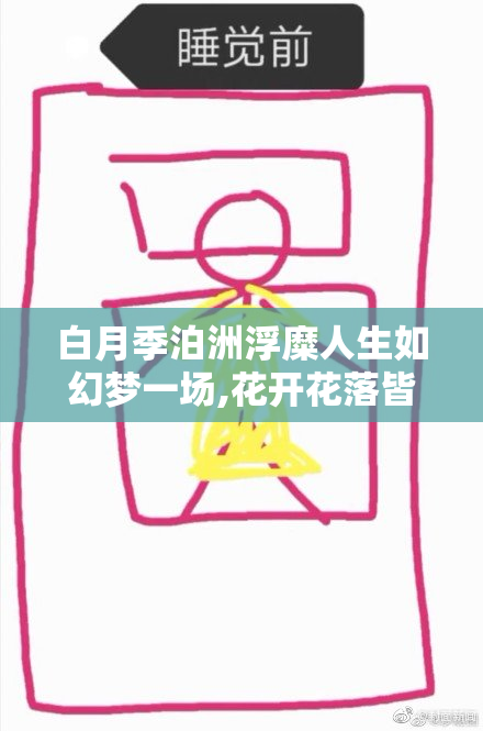 白月季泊洲浮糜人生如幻梦一场,花开花落皆是风景,岁月