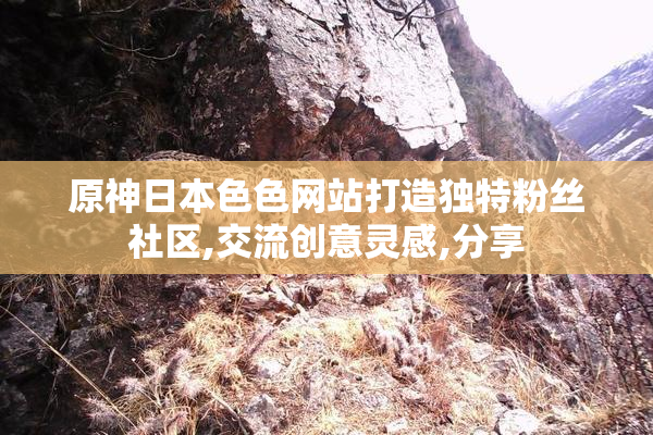 原神日本色色网站打造独特粉丝社区,交流创意灵感,分享