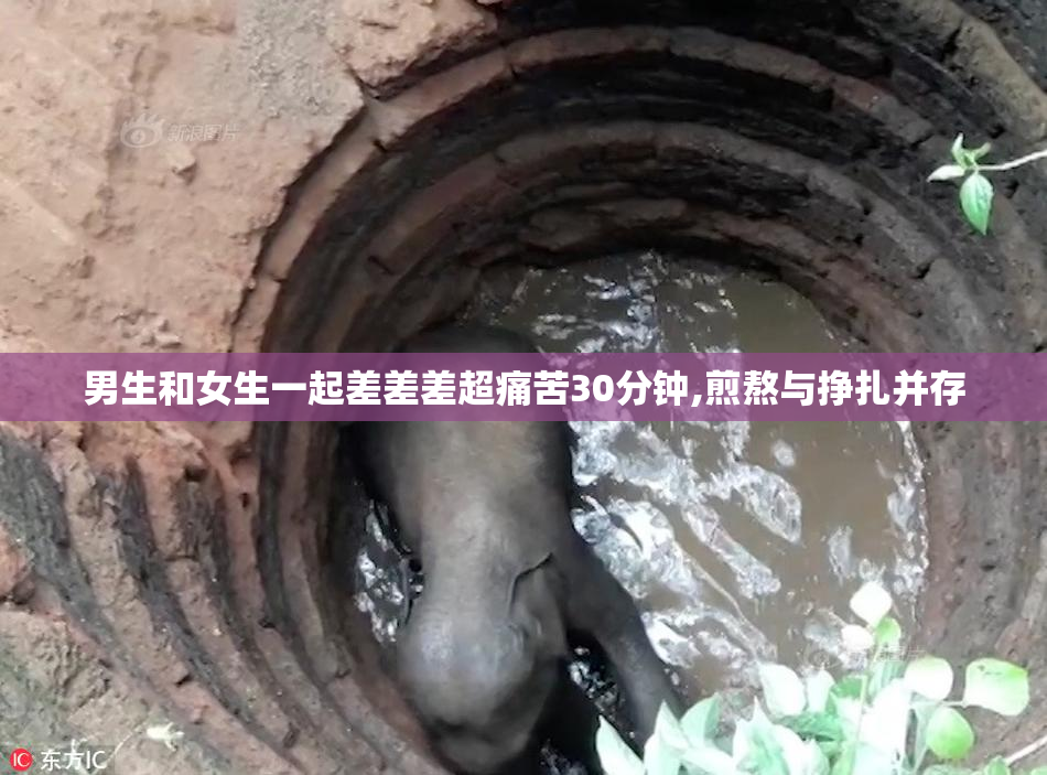 男生和女生一起差差差超痛苦30分钟,煎熬与挣扎并存