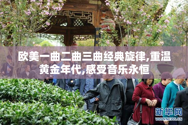 欧美一曲二曲三曲经典旋律,重温黄金年代,感受音乐永恒