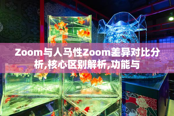 Zoom与人马性Zoom差异对比分析,核心区别解析,功能与