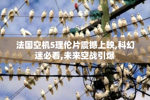 法国空机5理伦片震撼上映,科幻迷必看,未来空战引爆