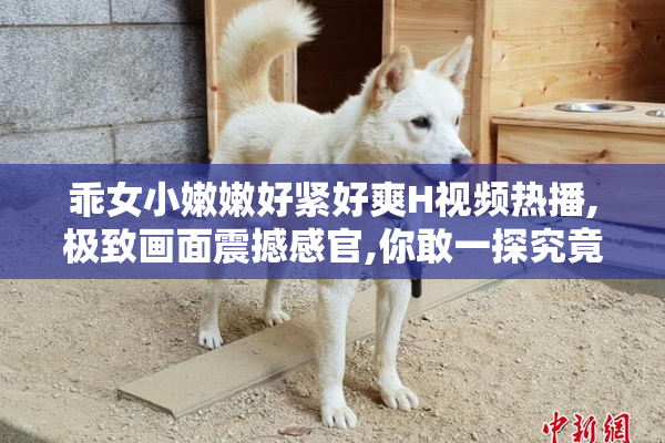 乖女小嫩嫩好紧好爽H视频热播,极致画面震撼感官,你敢一探究竟吗