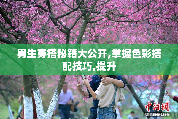 男生穿搭秘籍大公开,掌握色彩搭配技巧,提升