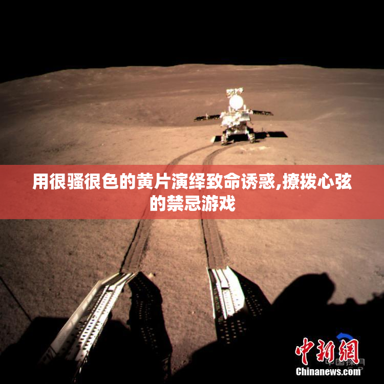 用很骚很色的黄片演绎致命诱惑,撩拨心弦的禁忌游戏