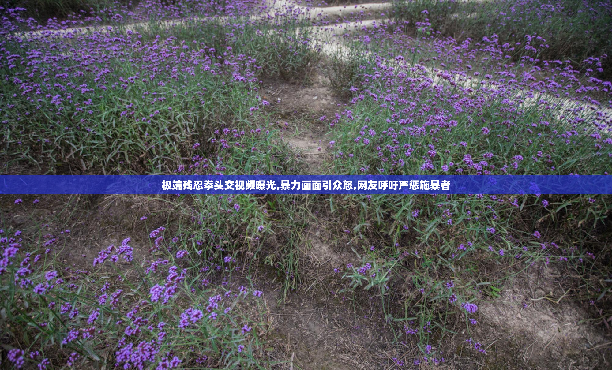 极端残忍拳头交视频曝光,暴力画面引众怒,网友呼吁严惩施暴者
