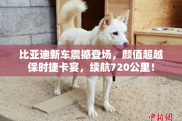 比亚迪新车震撼登场，颜值超越保时捷卡宴，续航720公里！