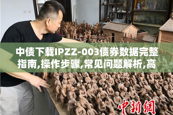 中债下载IPZZ-003债券数据完整指南,操作步骤,常见问题解析,高效