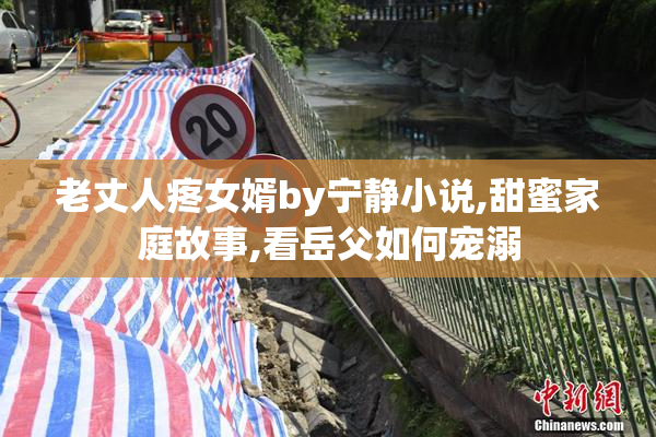 老丈人疼女婿by宁静小说,甜蜜家庭故事,看岳父如何宠溺