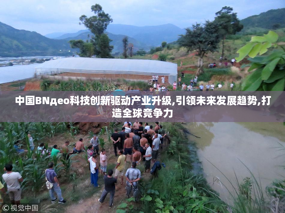 中国BNдeo科技创新驱动产业升级,引领未来发展趋势,打造全球竞争力