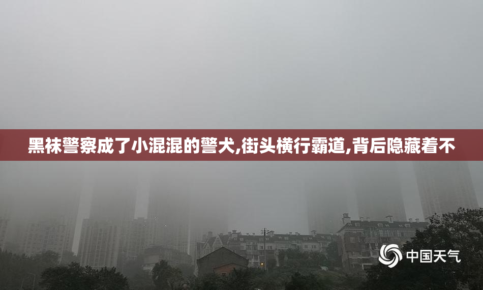 黑袜警察成了小混混的警犬,街头横行霸道,背后隐藏着不