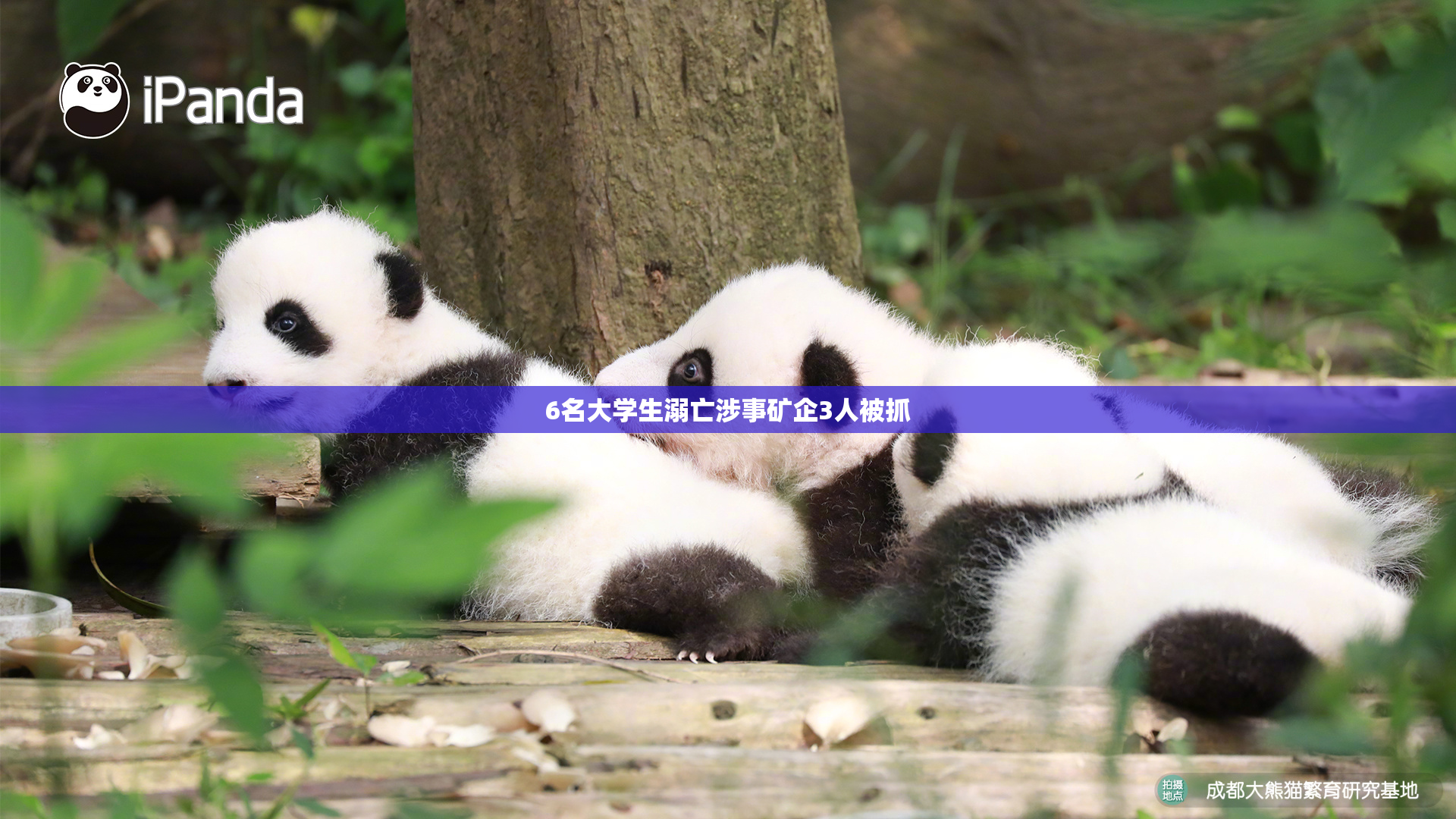 6名大学生溺亡涉事矿企3人被抓
