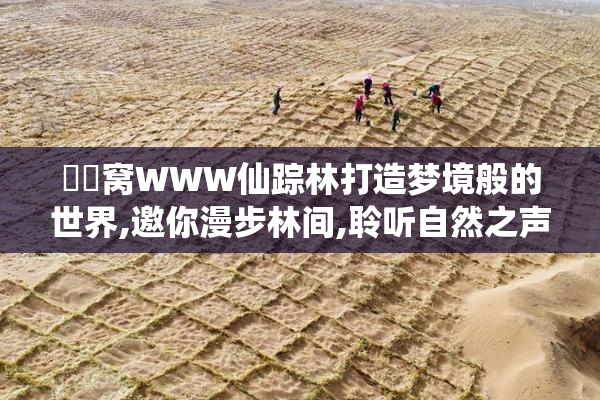 妺妺窝WWW仙踪林打造梦境般的世界,邀你漫步林间,聆听自然之声
