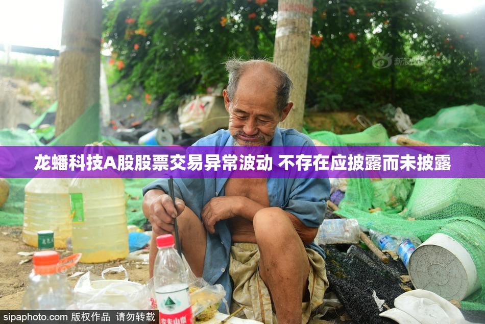 龙蟠科技A股股票交易异常波动 不存在应披露而未披露