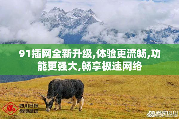 91插网全新升级,体验更流畅,功能更强大,畅享极速网络