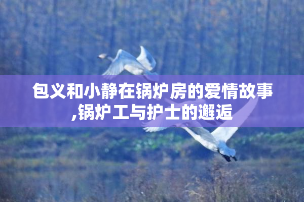 包义和小静在锅炉房的爱情故事,锅炉工与护士的邂逅