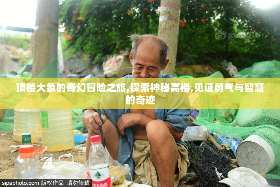 顶楼大象的奇幻冒险之旅,探索神秘高楼,见证勇气与智慧的奇迹
