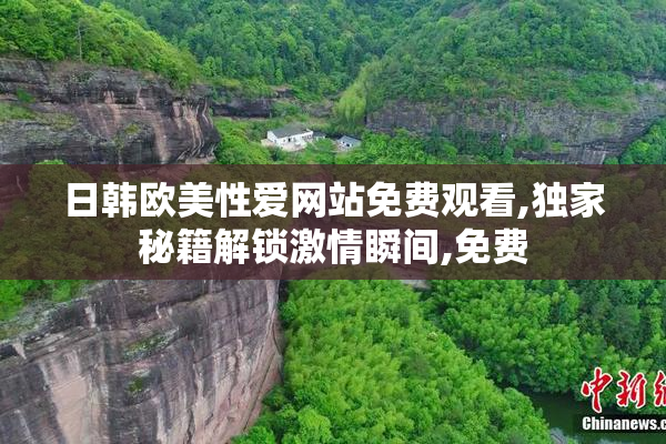 日韩欧美性爱网站免费观看,独家秘籍解锁激情瞬间,免费