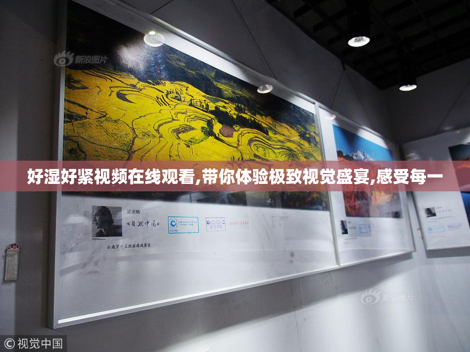 好湿好紧视频在线观看,带你体验极致视觉盛宴,感受每一