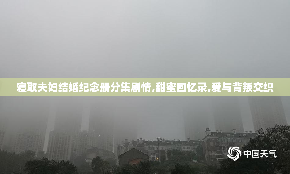 寝取夫妇结婚纪念册分集剧情,甜蜜回忆录,爱与背叛交织