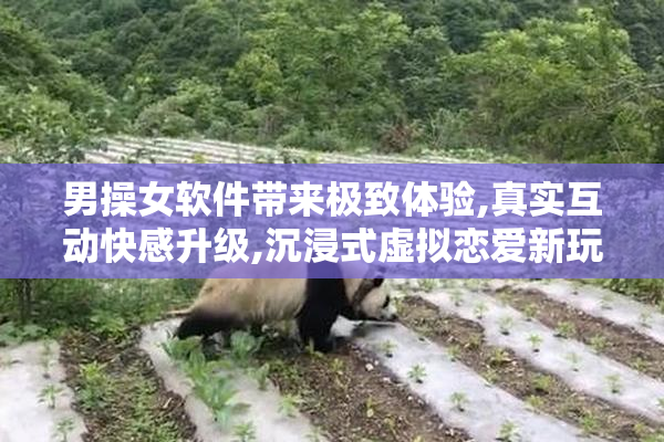 男操女软件带来极致体验,真实互动快感升级,沉浸式虚拟恋爱新玩法