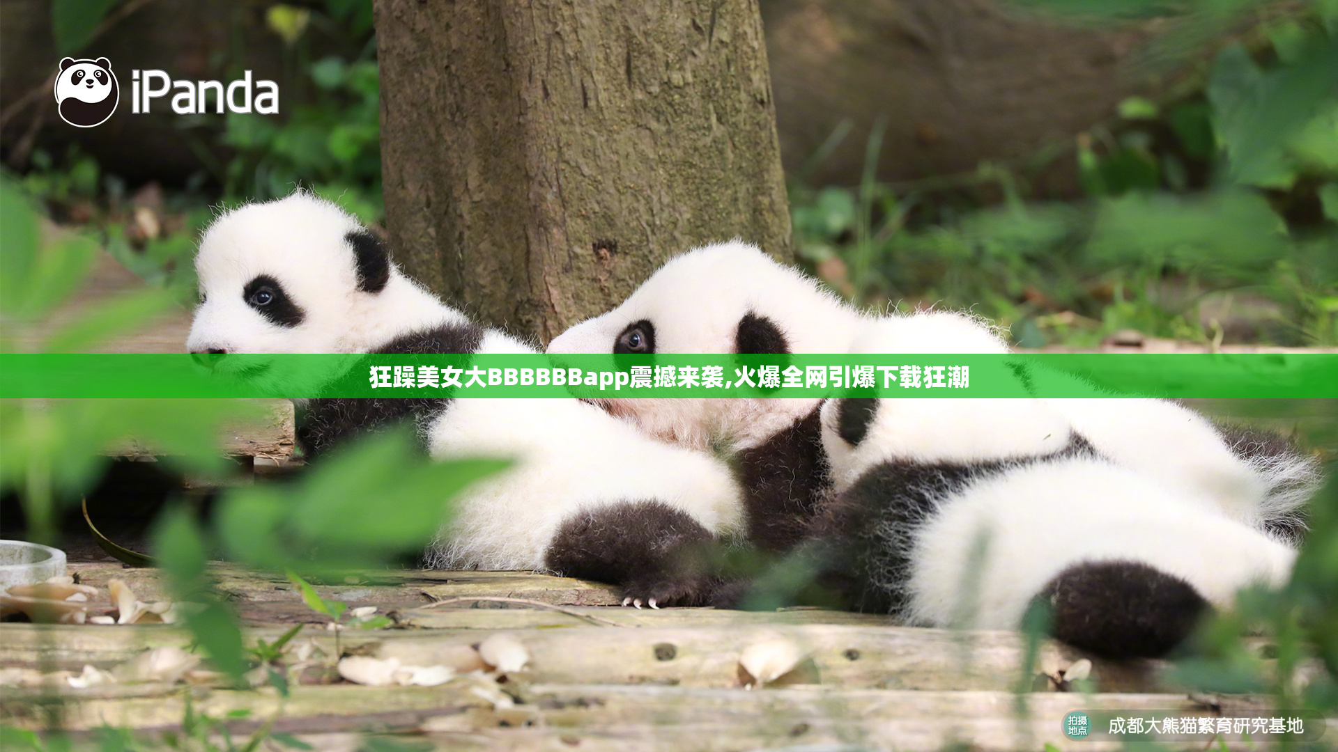狂躁美女大BBBBBBapp震撼来袭,火爆全网引爆下载狂潮