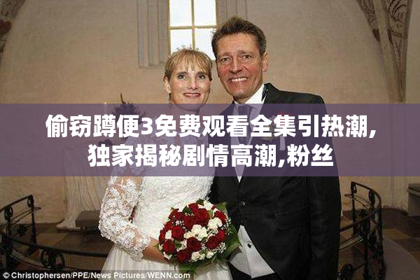 偷窃蹲便3免费观看全集引热潮,独家揭秘剧情高潮,粉丝