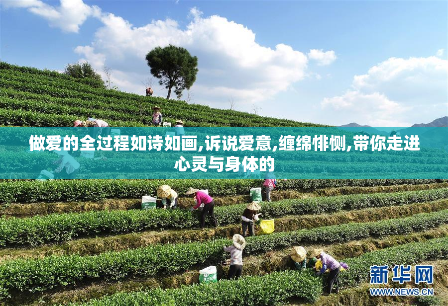 做爱的全过程如诗如画,诉说爱意,缠绵悱恻,带你走进心灵与身体的