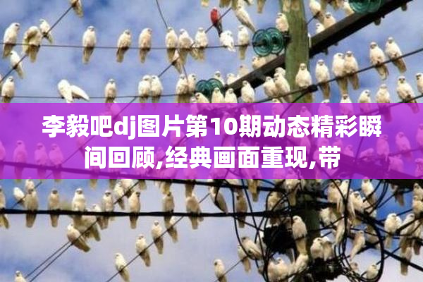 李毅吧dj图片第10期动态精彩瞬间回顾,经典画面重现,带