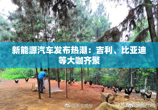 新能源汽车发布热潮：吉利、比亚迪等大咖齐聚