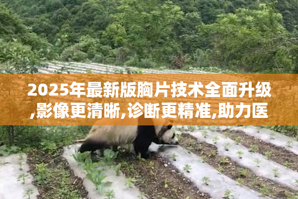 2025年最新版胸片技术全面升级,影像更清晰,诊断更精准,助力医疗