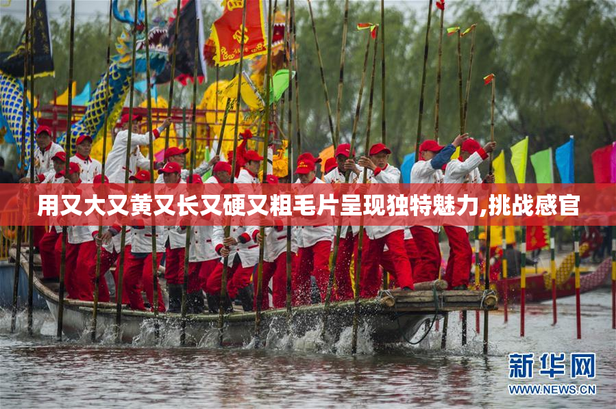 用又大又黄又长又硬又粗毛片呈现独特魅力,挑战感官