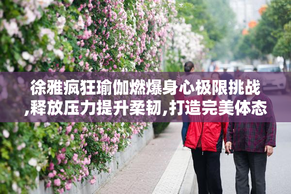 徐雅疯狂瑜伽燃爆身心极限挑战,释放压力提升柔韧,打造完美体态与