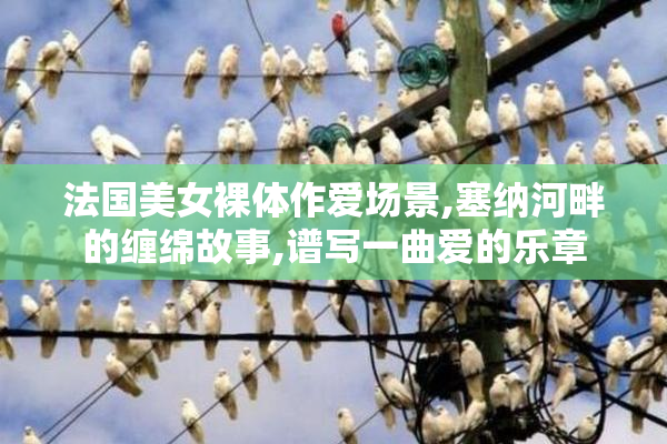 法国美女裸体作爱场景,塞纳河畔的缠绵故事,谱写一曲爱的乐章
