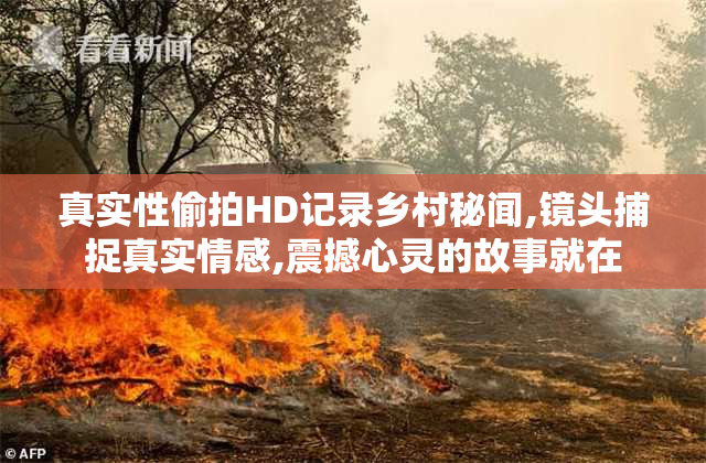 真实性偷拍HD记录乡村秘闻,镜头捕捉真实情感,震撼心灵的故事就在