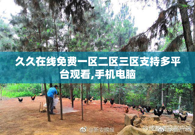 久久在线免费一区二区三区支持多平台观看,手机电脑