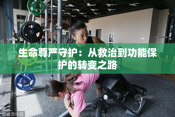 生命尊严守护：从救治到功能保护的转变之路