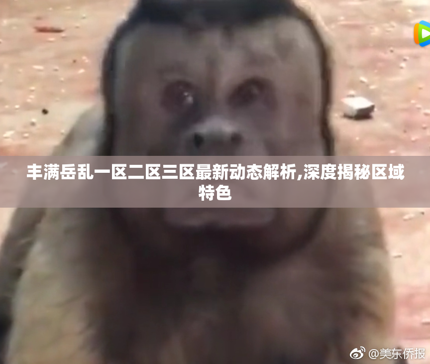 丰满岳乱一区二区三区最新动态解析,深度揭秘区域特色