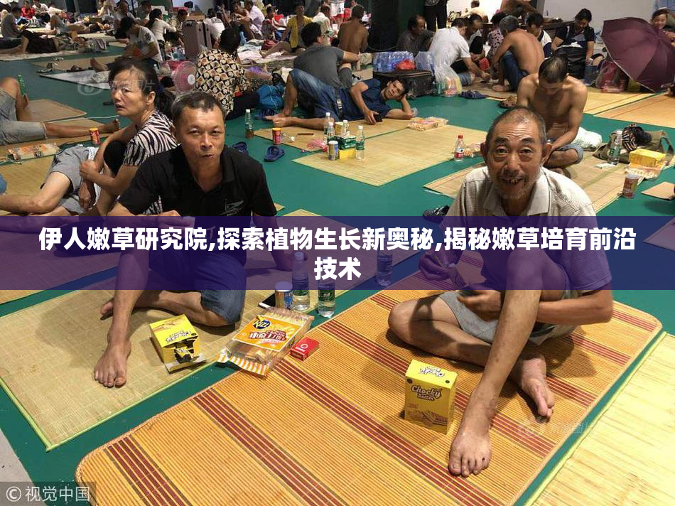 伊人嫩草研究院,探索植物生长新奥秘,揭秘嫩草培育前沿技术