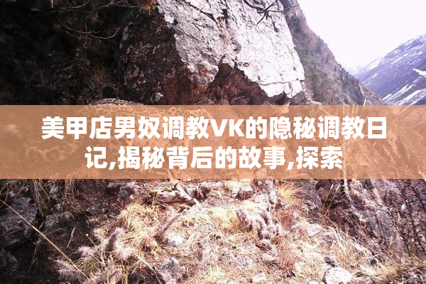 美甲店男奴调教VK的隐秘调教日记,揭秘背后的故事,探索