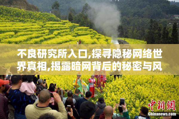 不良研究所入口,探寻隐秘网络世界真相,揭露暗网背后的秘密与风险