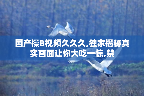 国产操B视频久久久,独家揭秘真实画面让你大吃一惊,禁