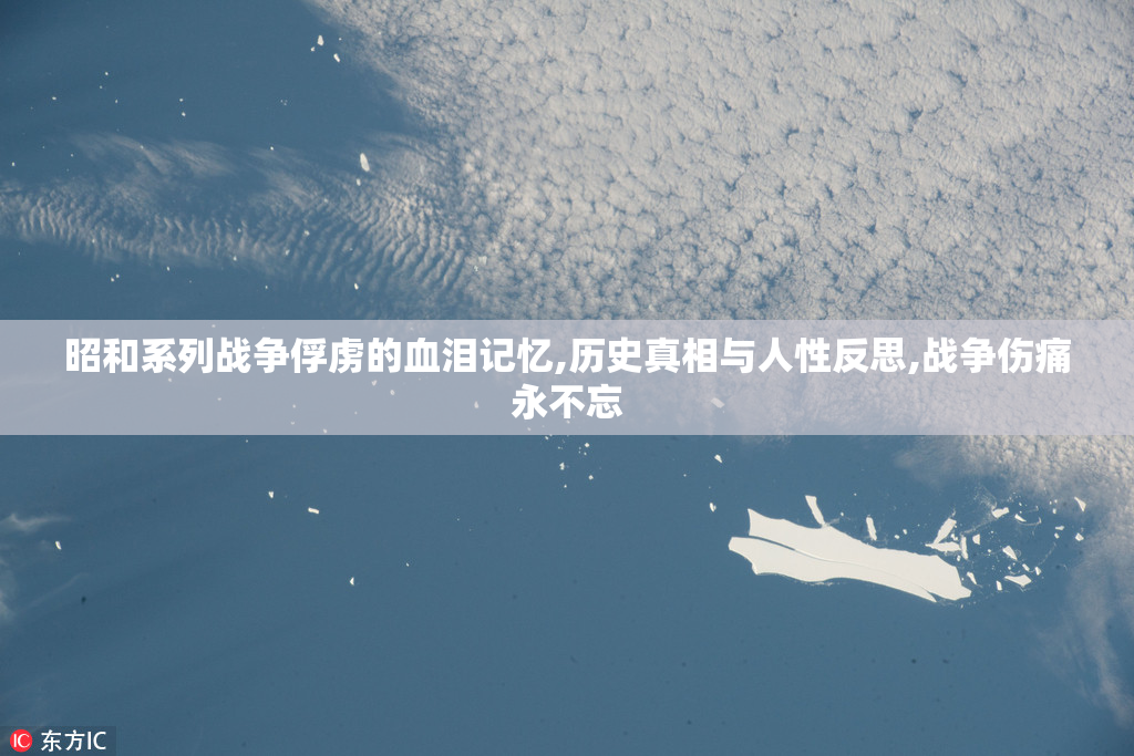 昭和系列战争俘虏的血泪记忆,历史真相与人性反思,战争伤痛永不忘
