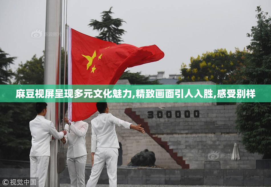 麻豆视屏呈现多元文化魅力,精致画面引人入胜,感受别样