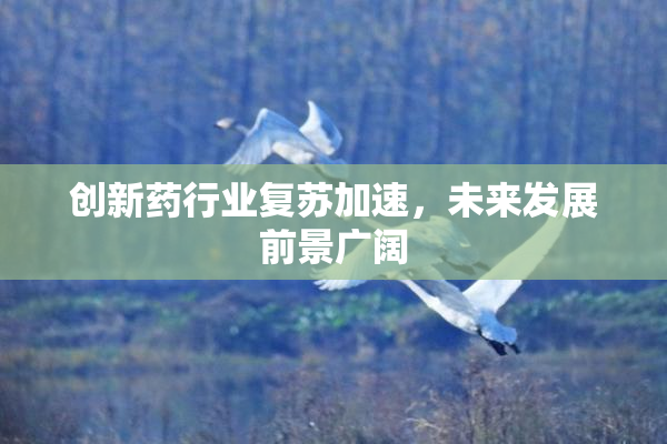 创新药行业复苏加速，未来发展前景广阔